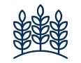 Icon of tree leaves to illustrate agriculture.